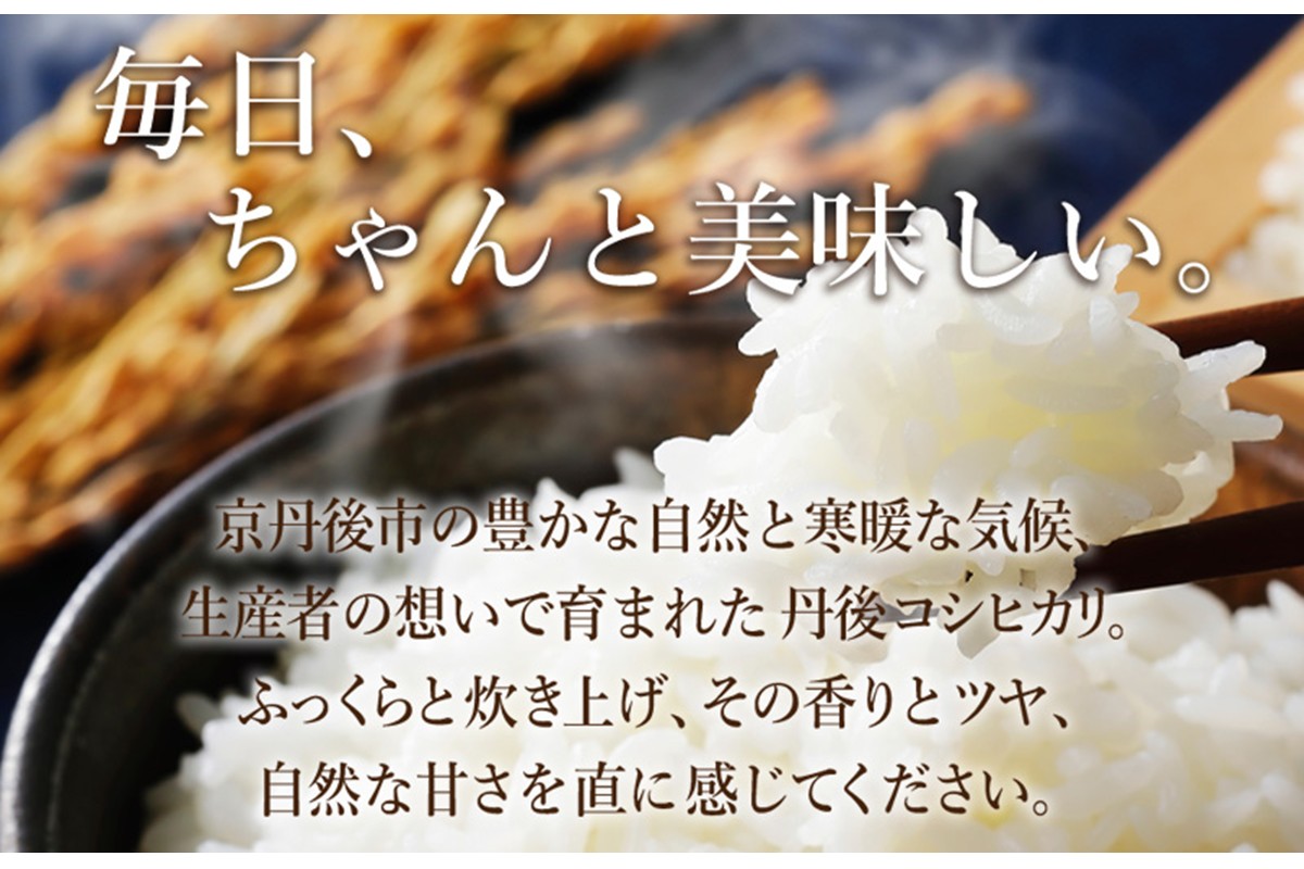 2025年産　京丹後産コシヒカリ 精米5kg ふるさと納税 米 お米 ご飯 ごはん コシヒカリ 国産 こめ ごはん 京都産 こしひかり 農家応援 生産者応援 送料無料