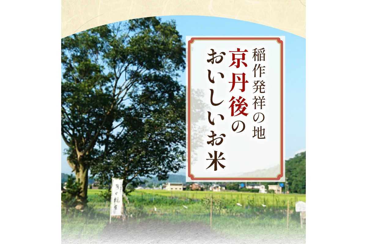 【3ヶ月定期便】2026年産 京都・京丹後峰山 特別栽培米コシヒカリ 5kg 【玄米】 1等米 検査済証付　ふるさと納税 米 玄米 定期便 京都 コシヒカリ 特別栽培 ふるさと納税 玄米 定期便