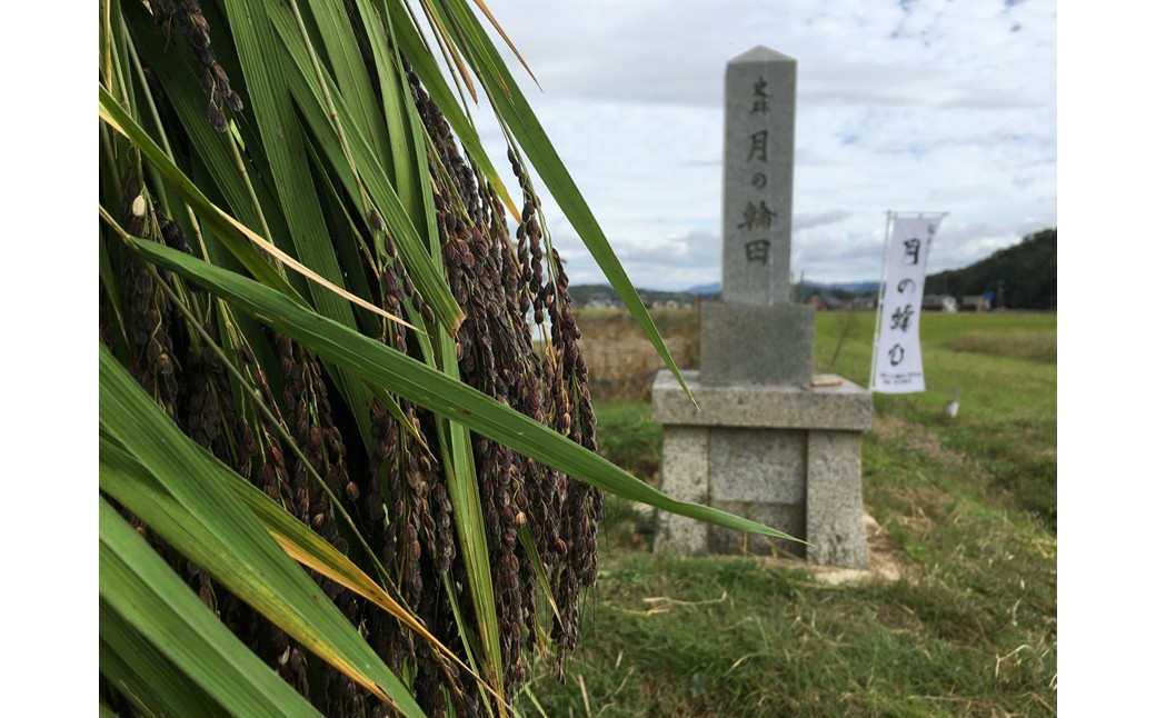 遞イ菴懃匱逾・縺ョ蝨ー縲よ悴譚・縺ク縺、縺ェ縺舌梧怦縺ョ霈ェ逕ー繝サ貂豌エ謌ク縲阪ョ菫晏ィ縺ィ鬲蜉帷匱菫。縺ォ髢「縺吶k豢サ蜍墓髪謠エ 1蜿」 10,000蜀縲占ソ皮、シ蜩√↑縺励 莠ャ驛ス蠎 莠ャ荳ケ蠕悟ク 蝨ー蝓溷ソ懈抄 蝨ー蝓滓髪謠エ 豢サ蜍募ソ懈抄 豢サ蜍墓髪謠エ 莠ャ驛ス 荳ケ蠕 霑皮、シ蜩√↑縺