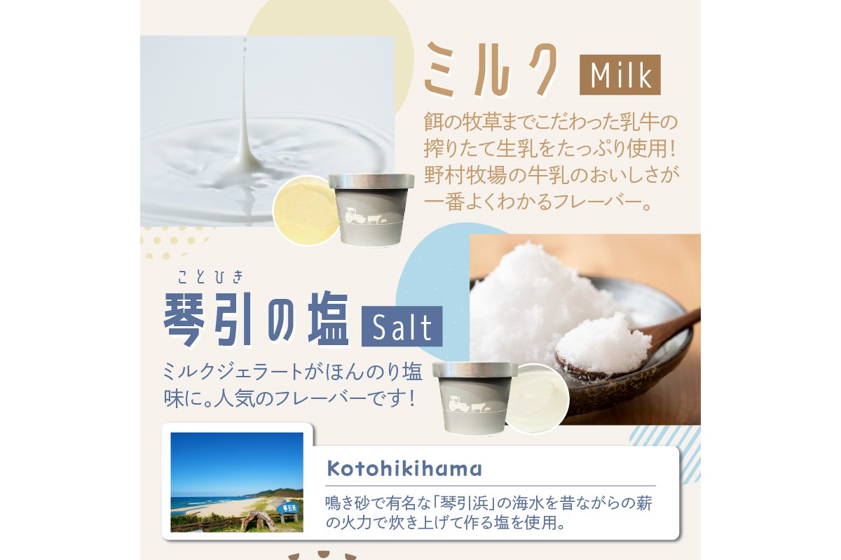 ミルクジェラート食べ比べ3種6個セット 野村牧場 スイーツ デザート ジェラート カップジェラート 牧場 アイス