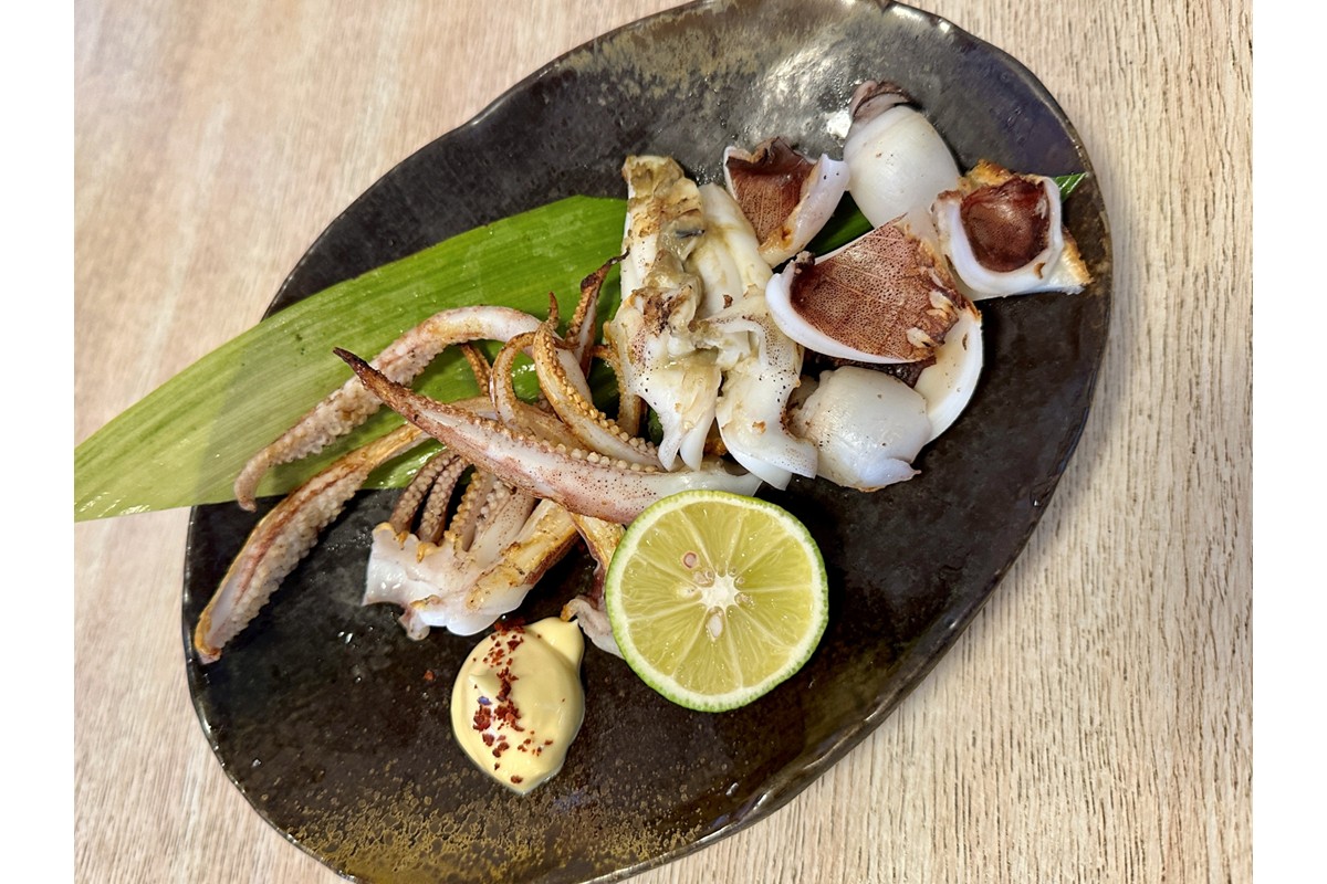 京都・久美浜産 アオリイカの姿造り