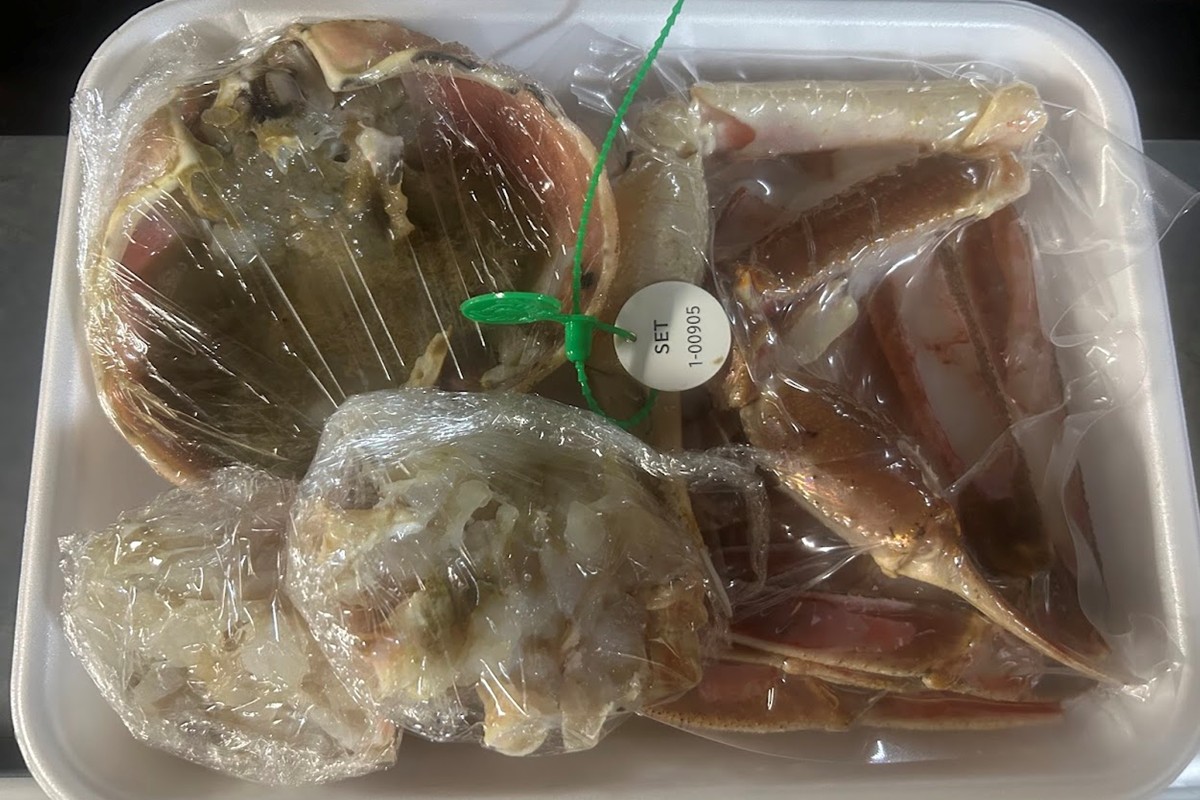 間人漁港仲買人の丸友鮮魚三代目・自慢の間人ガニ【冷凍】生・訳アリ（ズワイガニ）[真空調理済み]