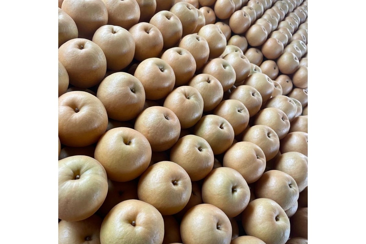 ãå
è¡äºçŽïŒæ°ééå®100ãèš³ãã æ°è梚ã5kgïŒ2026幎10æäžæ¬ïœçºéïŒ