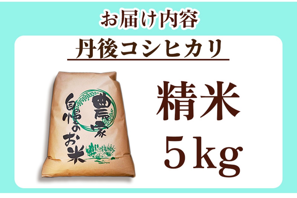 2025年産　京丹後産コシヒカリ 精米5kg ふるさと納税 米 お米 ご飯 ごはん コシヒカリ 国産 こめ ごはん 京都産 こしひかり 農家応援 生産者応援 送料無料