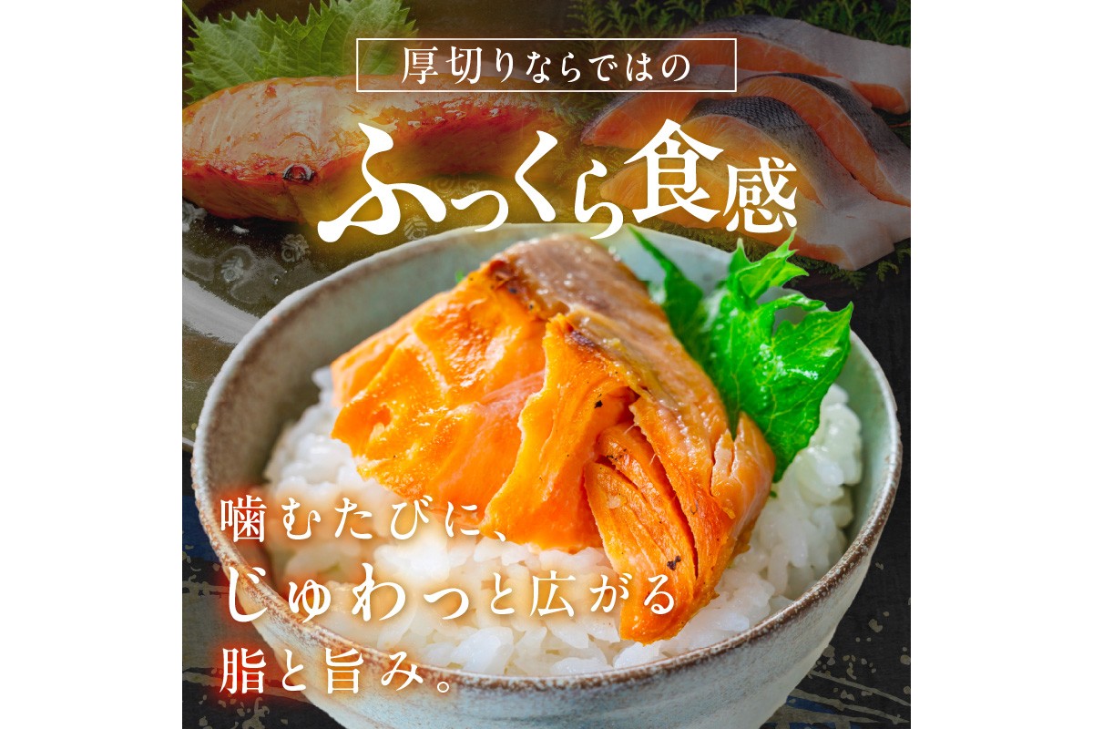 お手軽！絶品！厚切り　塩銀鮭切身 約1kg（プロトン凍結　訳あり　不揃い）