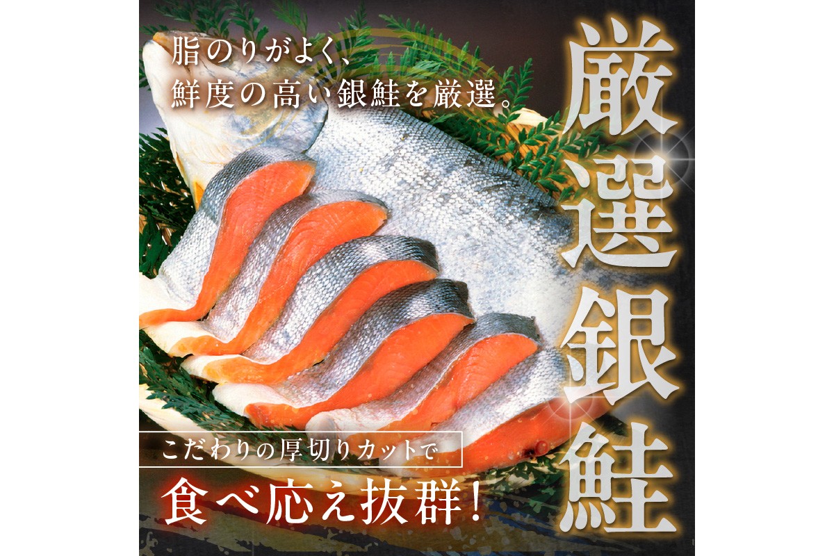 お手軽！絶品！厚切り　塩銀鮭切身 約1kg（プロトン凍結　訳あり　不揃い）