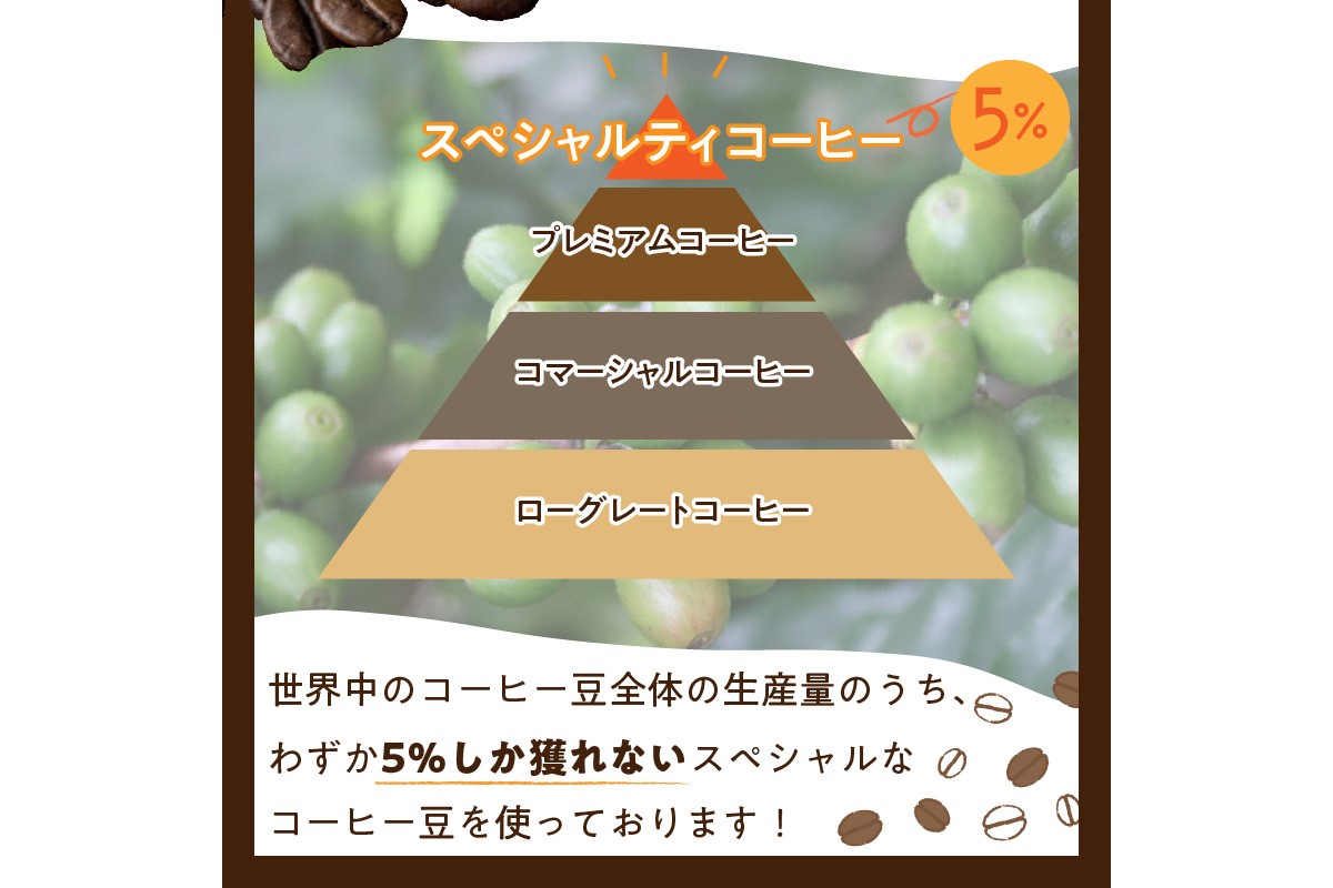 【アイスコーヒー用】自家焙煎アイスコーヒー用ブレンドコーヒー豆 500g（250g×2） 八月の犬ハウスブレンド 約50杯分　小分け　豆・粉 選べる 飲料 珈琲 こーひー コーヒー coffee