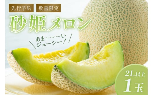 【先行予約／数量限定150】砂姫メロン1玉！大玉2L以上！女性に人気！（2026年6月下旬～発送）