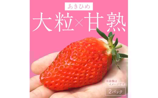 【京丹後産いちご章姫】農園直送便！新鮮大粒いちご 2パック ギフト箱入り／北畿水産