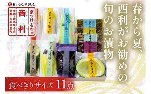 春から夏、西利がお勧めの旬のお漬物　11点セット