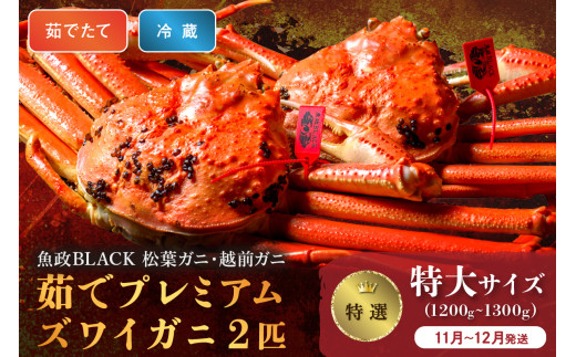 【蟹の匠 魚政】茹で　プレミアムズワイガニ 魚政BLACK（松葉ガニ・越前ガニ）特撰 特大サイズ（1200～1300g） 2匹セット　(11月～12月発送)