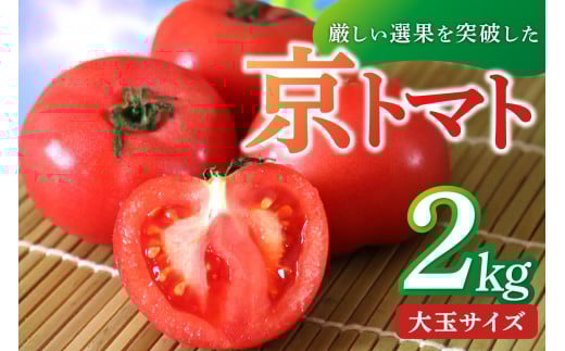 【先行予約】京丹後産・京トマト 2kg（8～10玉） 春夏発送（2026年5月中旬～発送）