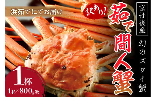 【訳あり！！幻のズワイ蟹】　　京丹後産　茹で間人蟹　鮮度抜群、浜茹でにてお届け！！ 800g級（足1本落ち）×1杯
