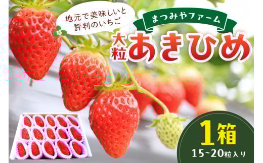 【先行予約／数量限定200】【特選】京都・まつみやファームの大粒いちご（あきひめイチゴ）15～20粒（2026年2月上旬～発送）