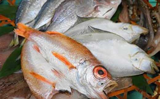 【数量限定30】干し物詰め合わせ