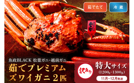 訳あり　【蟹の匠 魚政】茹で　プレミアムズワイガニ 魚政BLACK（松葉ガニ・越前ガニ） 特大サイズ（1200～1300g） 2匹セット　(11月～12月発送)