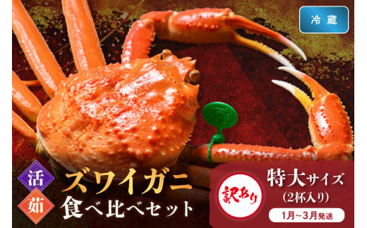 訳あり【蟹の匠 魚政】京丹後産 ズワイガニ 食べ比べセット〈活×茹〉特大サイズ2杯入り（1月～3月発送）