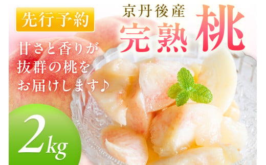 【先行予約】京丹後産 桃 2kg（6～12玉）（2027年7月下旬～発送）