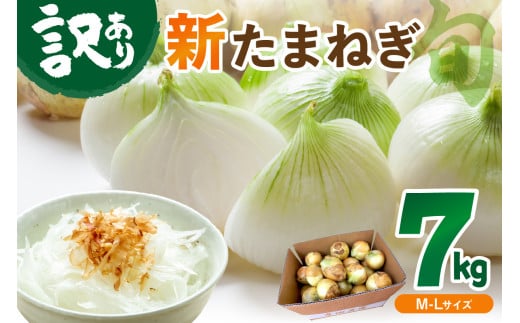 [訳あり]新たまねぎ%%UPDATE%%%%UPDATE%%