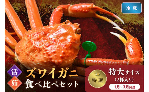 【蟹の匠 魚政】　【京丹後産 特撰】ズワイガニ 食べ比べセット〈活×茹〉特大サイズ2杯入り(1月～3月発送）　UO01415