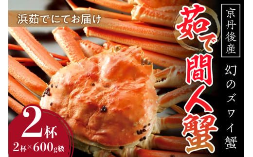 【幻のズワイ蟹】　京丹後産　茹で間人蟹（中）　鮮度抜群、浜茹でにてお届け！！ 600g級×2杯