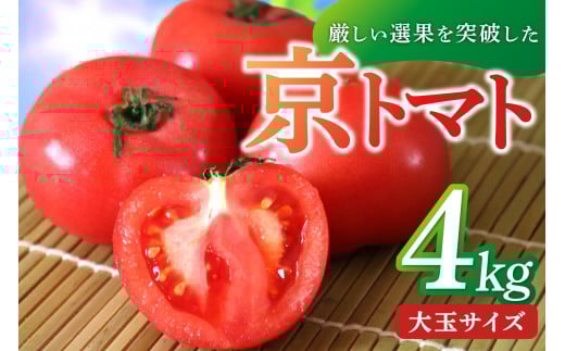 【先行予約】京丹後産・京トマト 4kg（12～24玉） 春夏発送（2026年5月中旬～発送）