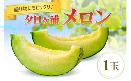【先行予約／数量限定100】夕日ヶ浦メロン1玉（2026年7月中旬～発送）