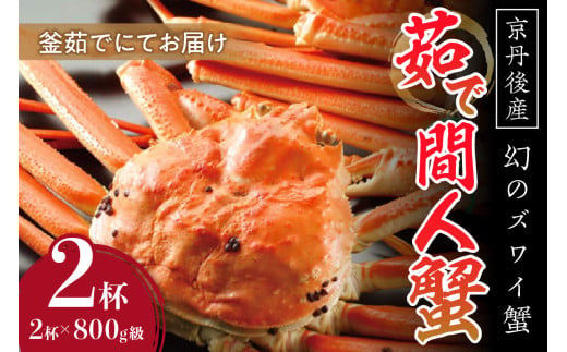 【幻のズワイ蟹】京丹後産 茹で間人蟹 鮮度抜群、釜茹でにてお届け！！ 800g級×2杯