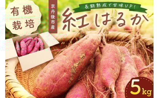 ＜てんとうむしばたけ＞有機さつまいも(紅はるか)5kg　有機野菜 さつま芋 サツマイモ 薩摩芋 ふるさと納税 野菜 イモ 期間限定 紅はるか 甘い 貯蔵 熟成 オーガニック ねっとり あまい焼き芋 国産 ほくほく 土付き 旬 秋 京都産