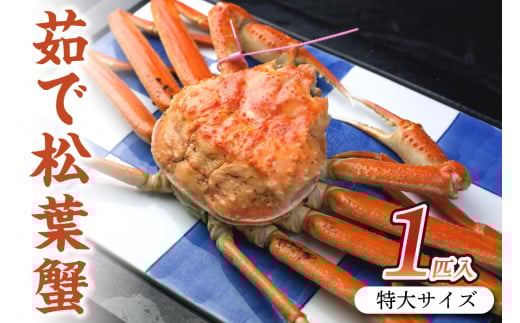 日本海産　ブランド蟹　茹で松葉蟹【厳選】特大サイズ　matubakani1000