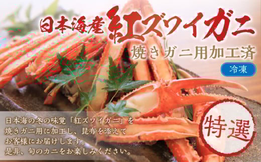 【特選】日本海産紅ズワイガニ（かに鍋、焼きガニ用加工済）