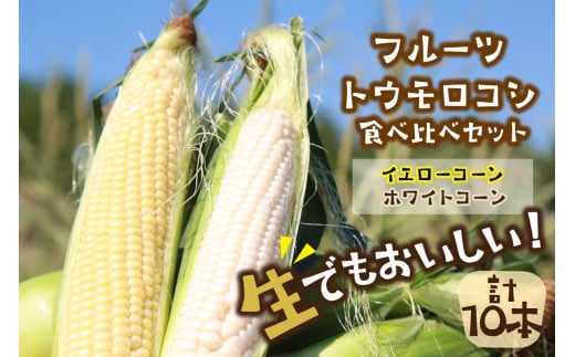 【先行予約】 生食も！高糖度！もぎたて！ フルーツトウモロコシ（ホワイトコーン＆イエローコーン計10本）食べ比べ京丹後セット（2026年6月下旬～発送）