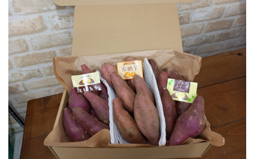 [先行予約/数量限定]直売所直送「京都・京丹後産 訳あり さつまいも3種食べ比べセット」計3kg(2025年10月下旬〜発送)%%UPDATE%%%%UPDATE%%