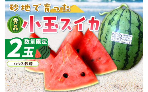 ãå
è¡äºçŽïŒæ°ééå®100ãã«ããŸãã¹ã€ã« ç§å 2çå
¥ãïŒããŠã¹æ œå¹ïŒïŒ2026幎6æäžæ¬ããçºéïŒ