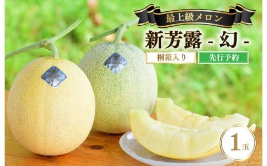【先行予約】 年間生産量200玉の最上級メロン「新芳露-幻-」（2026年7月下旬～発送）