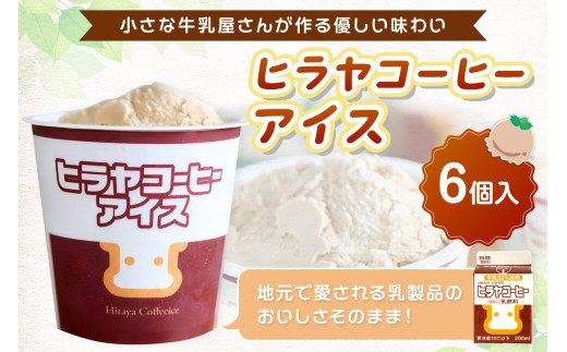 ヒラヤコーヒーアイス6個セット
