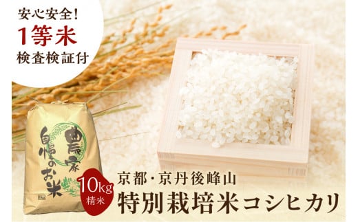 2026年産 京都・京丹後峰山 特別栽培米コシヒカリ 10kg 【白米】 1等米 検査済証付 米 ふるさと納税 コシヒカリ ふるさと納税 白米 ふるさと納税 お米 ご飯 ごはん おいしい コメ コシヒカリ