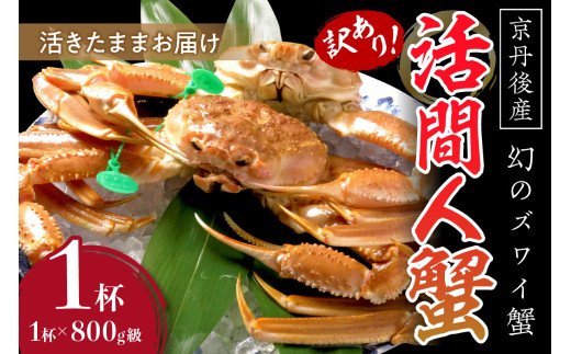 【訳あり！！幻のズワイ蟹】　京丹後産　活間人蟹　鮮度抜群、活きたままお届け！！ 800g級（足1本落ち）×1杯