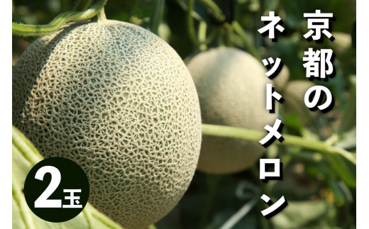 【先行予約／数量限定50】アールスメロン（ネットメロン） 2玉（2026年7月上旬～発送）