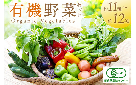 ＜てんとうむしばたけ＞オーガニック野菜セット　有機野菜11～12種(4人用) 京都直送 野菜 詰め合わせ 野菜セット 国産 京都産 ふるさと納税 野菜