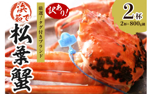 【訳あり！！タグ付きブランド】　茹で松葉かに　鮮度抜群、浜茹でにてお届け！！ 800g級（足1本落ち）×2杯