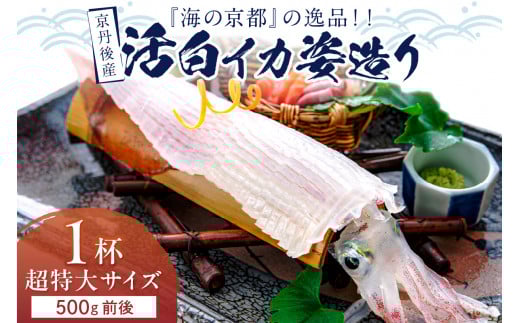 【先行予約】京丹後産『海の京都』の逸品！！　活白イカ姿造り（クリスタル白いか）超特大サイズ 1杯（500g前後）（2026年6月上旬～発送）