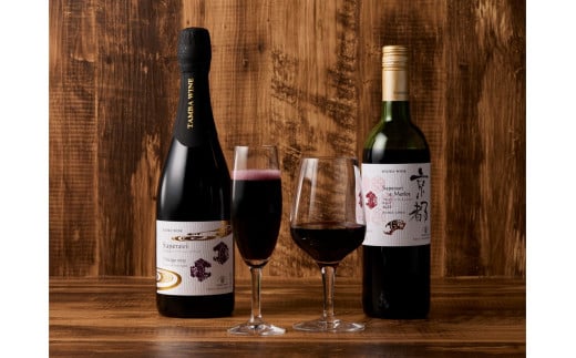 【丹波ワイン】京都ワイン（赤）サペラヴィ＆メルロー2022（720ml）・スパークリング (750ml） 2本セット