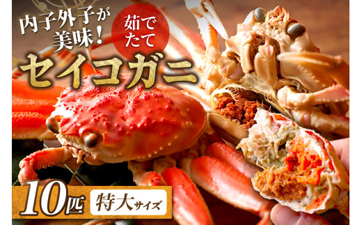 【蟹の匠 魚政】内子外子が美味! 茹でたて セイコガニ（セコ蟹）（香箱ガニ）（こっぺ）特大サイズ 10匹セット