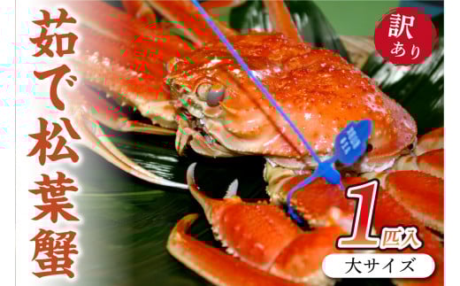日本海産 ブランド蟹　茹で松葉蟹 【訳あり】大サイズ　matubakani900