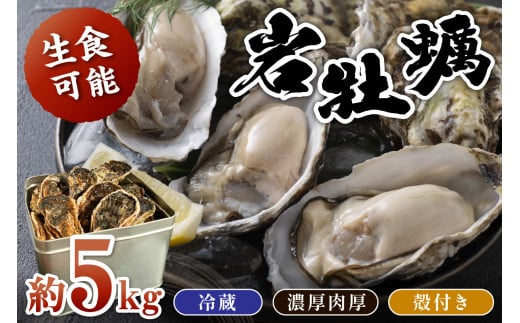 【先行予約】京都・京丹後産　鮮度抜群！濃厚肉厚岩牡蠣（生食用）約5kg（約10個）（殻付き・かんかん入り・冷蔵・ナイフ付き）
