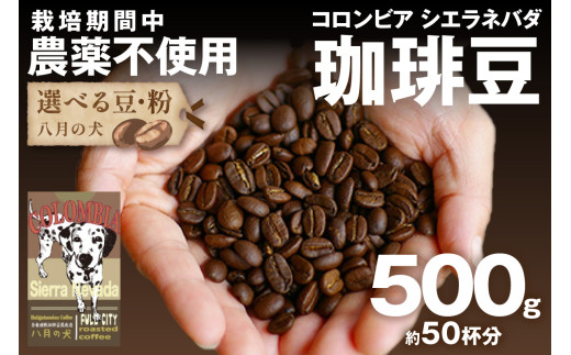 【栽培期間中農薬不使用】自家焙煎コーヒー豆 コロンビア シエラネバダ 500g（250g×2） 約50杯分 小分け　豆・粉 選べる
