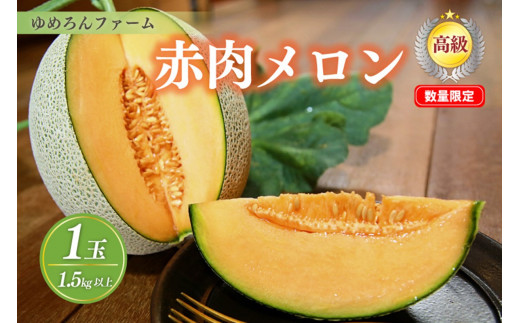 【先行予約／数量限定100】ゆめろんファームの赤肉メロン（2026年6月上旬～発送）