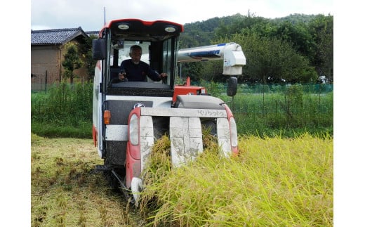 京都・丹後羽衣天女米（特別栽培米コシヒカリ） 玄米 20kg