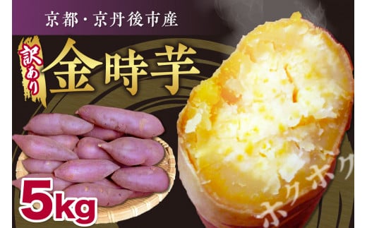 【先行予約】京都京丹後産さつまいも 訳あり 土付き 金時芋 5kg（2025年11月中旬～発送）